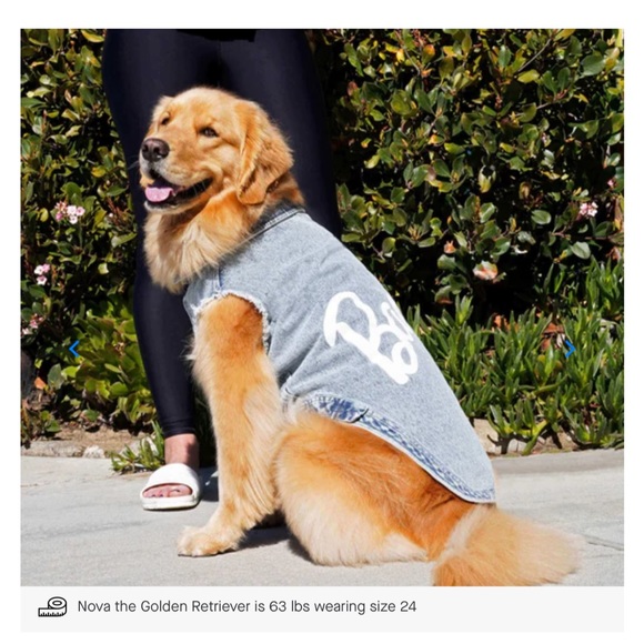 BARBIE x CANADA POOCH DENIM VEST - Picture 5 of 10